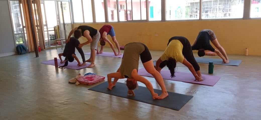 300 Hour Yoga Teacher Training in Rishikesh