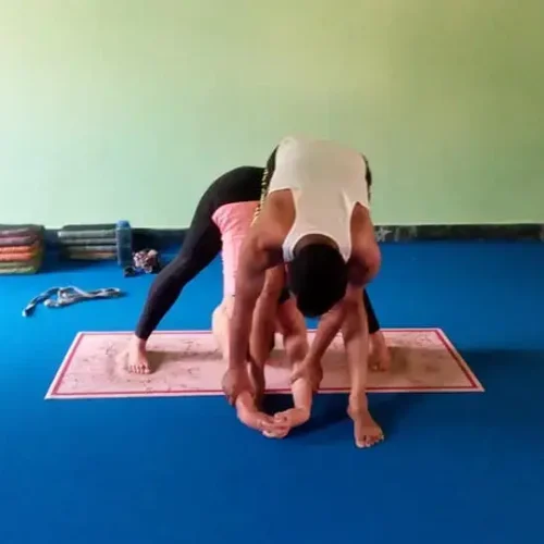 yoga asana yoga asana